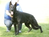 El Duke Kiridesja FGK 2008